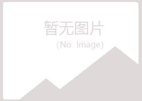 阳山县半梦建设有限公司